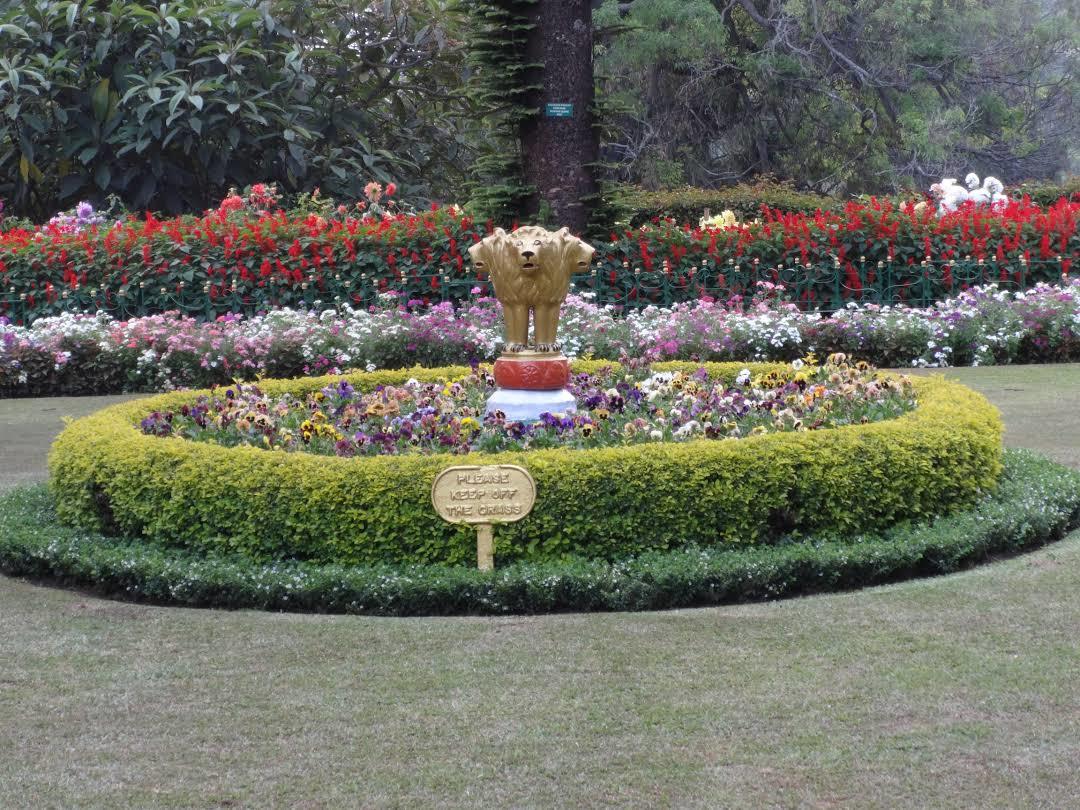 Jardín de rosas